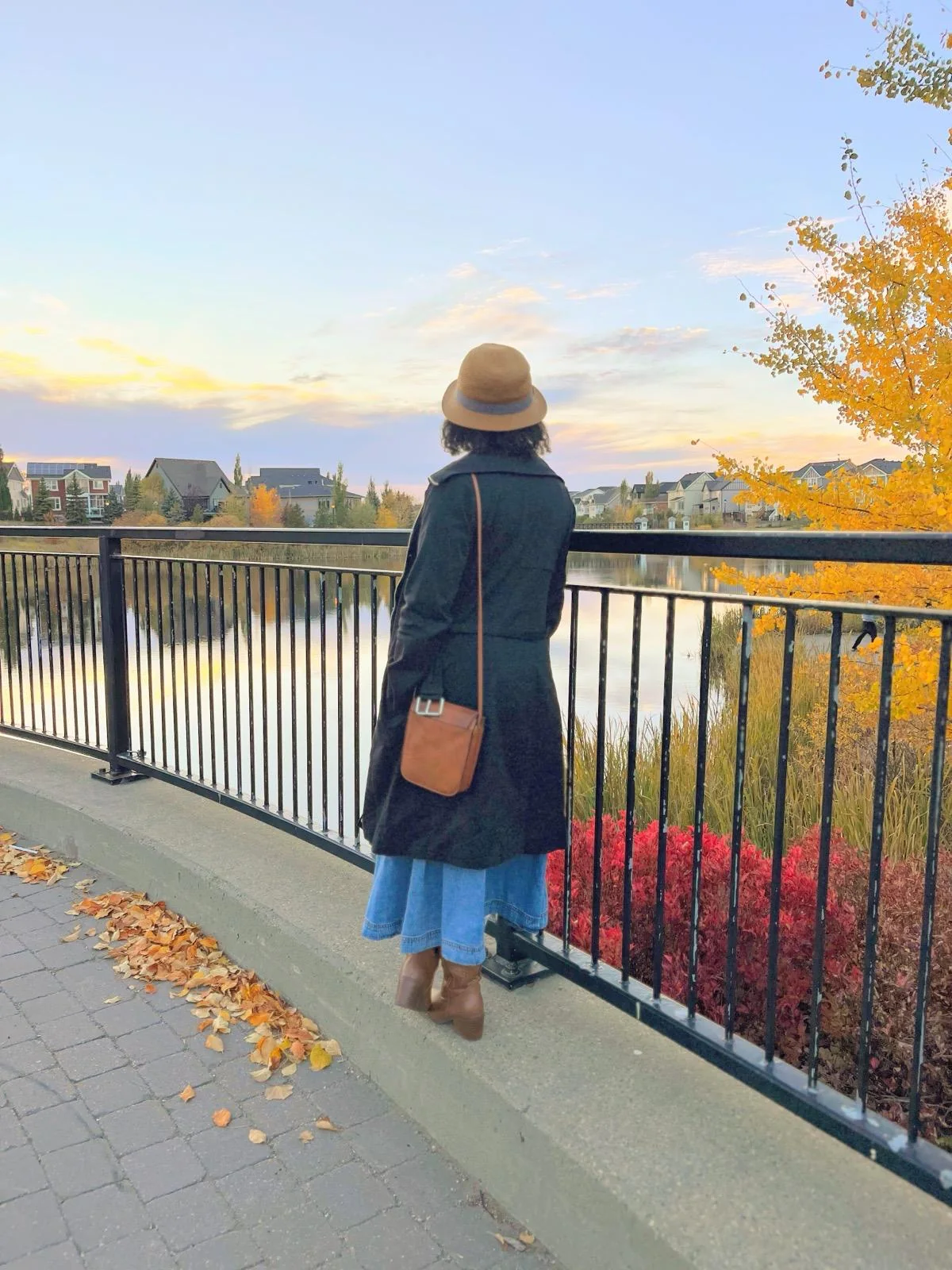 Autumn lakeside scene